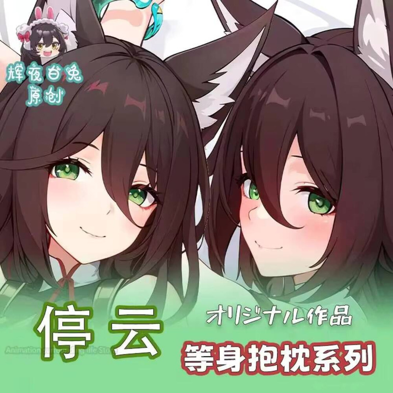 Anime Cosplay Otaku - Sarung bantal badan organisator Dakimakura rel